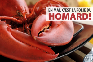 La folie du homard à la Brasserie Fleurimont